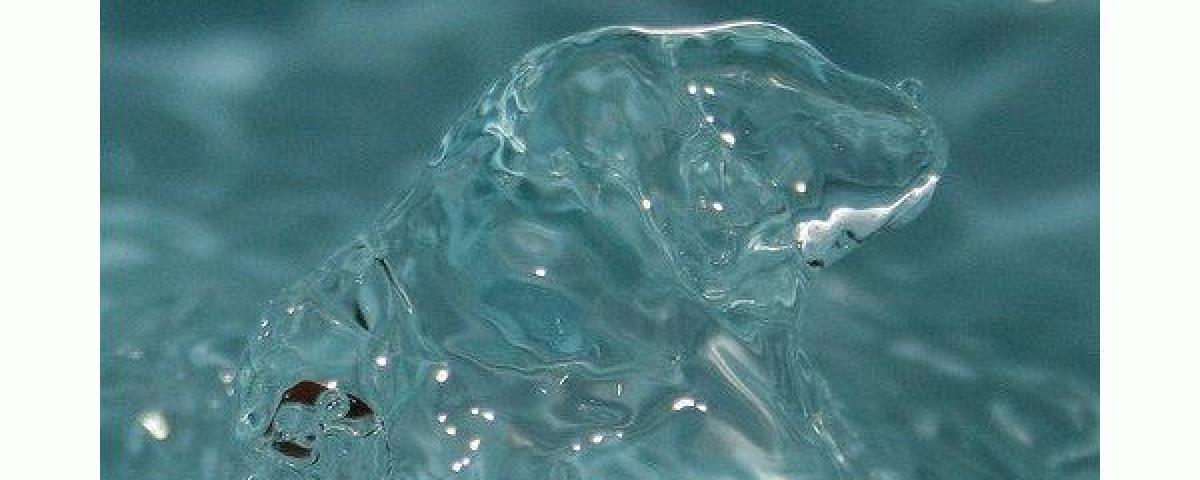 15 интересных фактов, касающихся воды